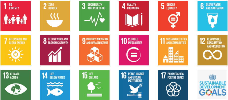 An infographic of the UN's 17 Sustainable Development Goals, which help us categorise our ethical investments